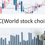 WSC(World stock choice)ワールドストックチョイス